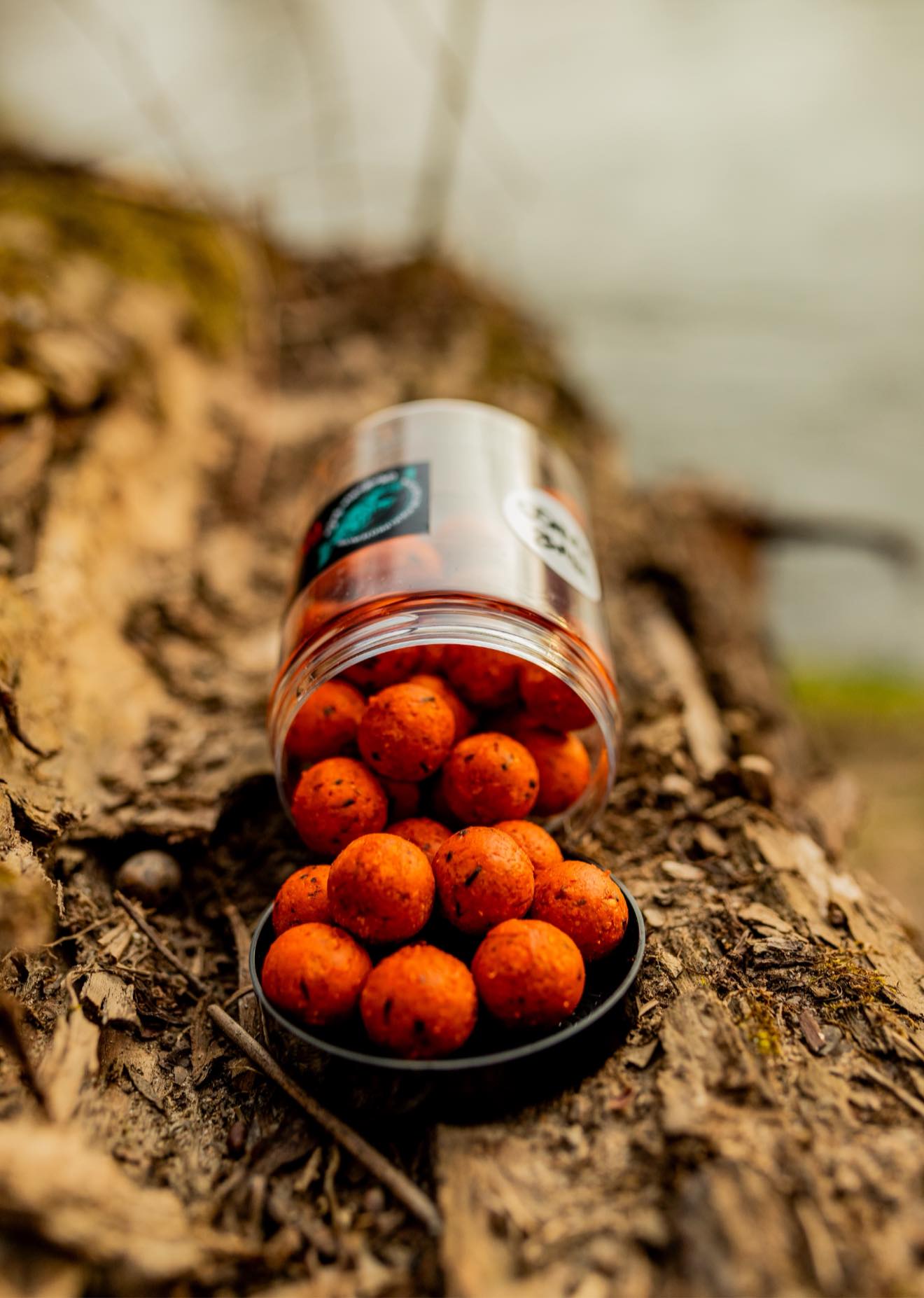 grabania-baits-krab-mango.jpg